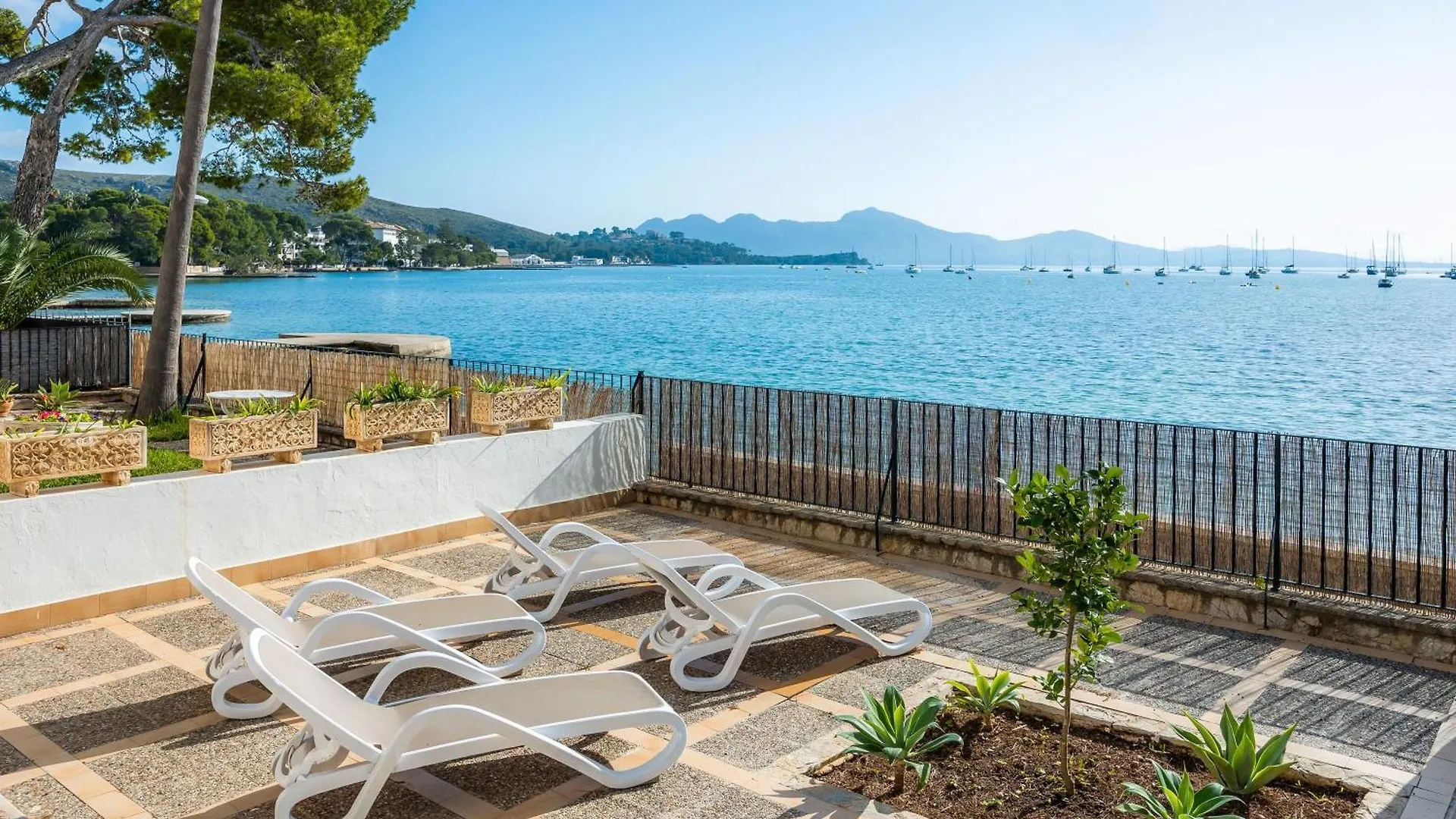 Can Vidal Des Port De Pollensa Port de Pollenca Apartment